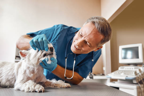 Best Emergency Tooth Extraction in Lackland Af, TX
